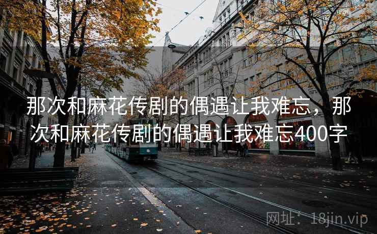 那次和麻花传剧的偶遇让我难忘，那次和麻花传剧的偶遇让我难忘400字